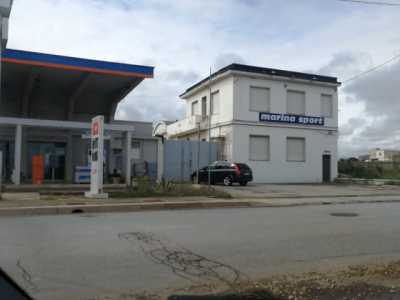 Il delfino  si trovava sugli scogli situati di fronte al distributore di benzina di via Di Cagno Abbrescia...